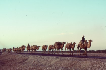 Kashgar — photograph 1