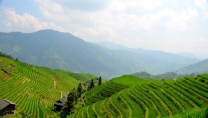 Longji Rice Terraces — photograph 2