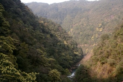 Wuyi Mountains — photograph 1