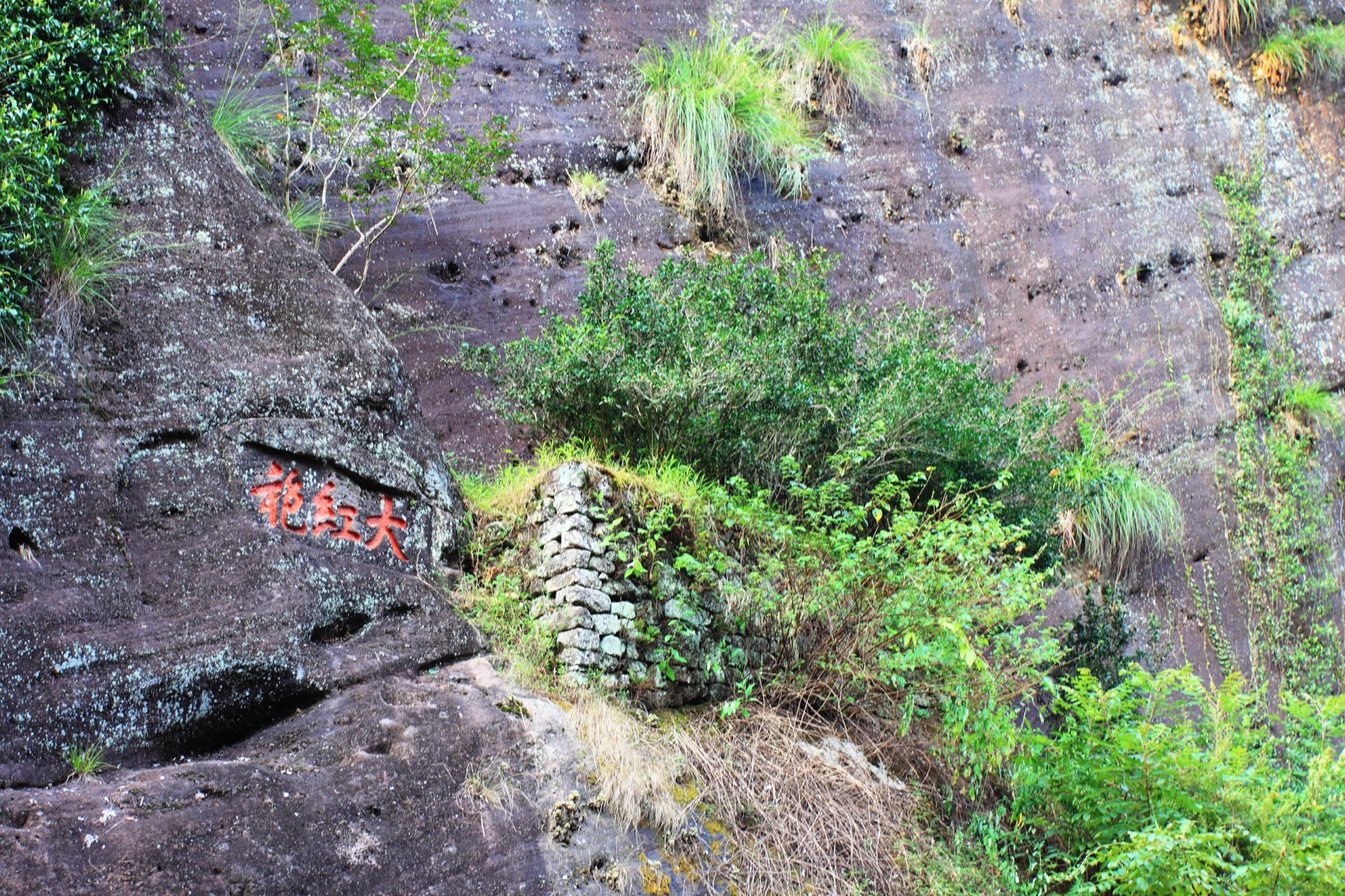 Wuyi Mountains, Fujian